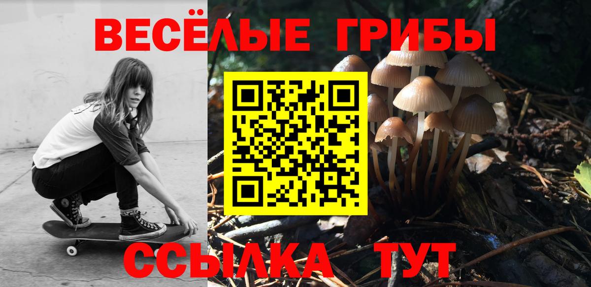 Псилоцибиновые грибы Magic Shrooms Донской