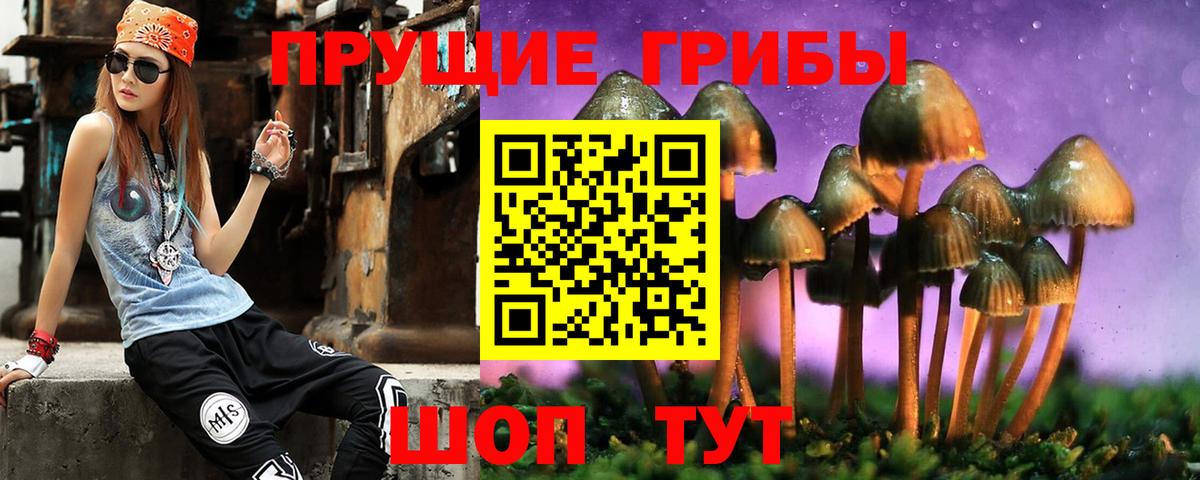 Донской  Псилоцибиновые грибы Psilocybine cubensis  Вход с VPN 